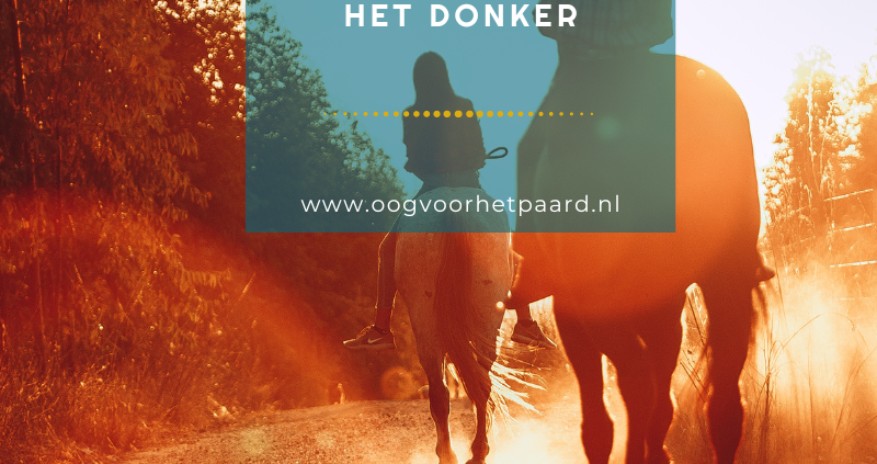 paard blijft schrikken tijdens wandelen in donker